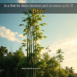 Artistic representation for In a first for state bamboo park to come up in Ri Bhoi