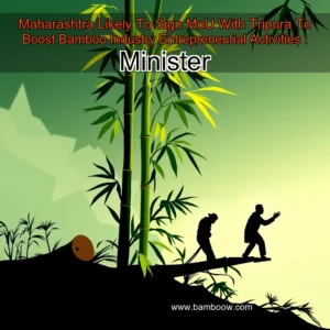 Artistic representation for Maharashtra Likely To Sign MoU With Tripura To Boost Bamboo Industry Entrepreneurial Activities : Minister