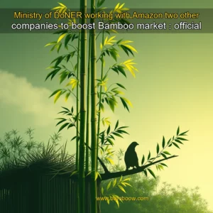 Artistic representation for Ministry of DoNER working with Amazon two other companies to boost Bamboo market : official