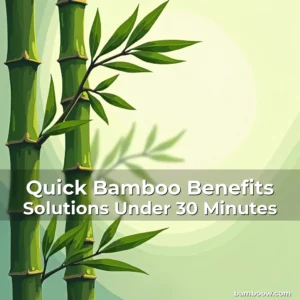 Artistic representation for Quick Bamboo Benefits Solutions Under 30 Minutes
