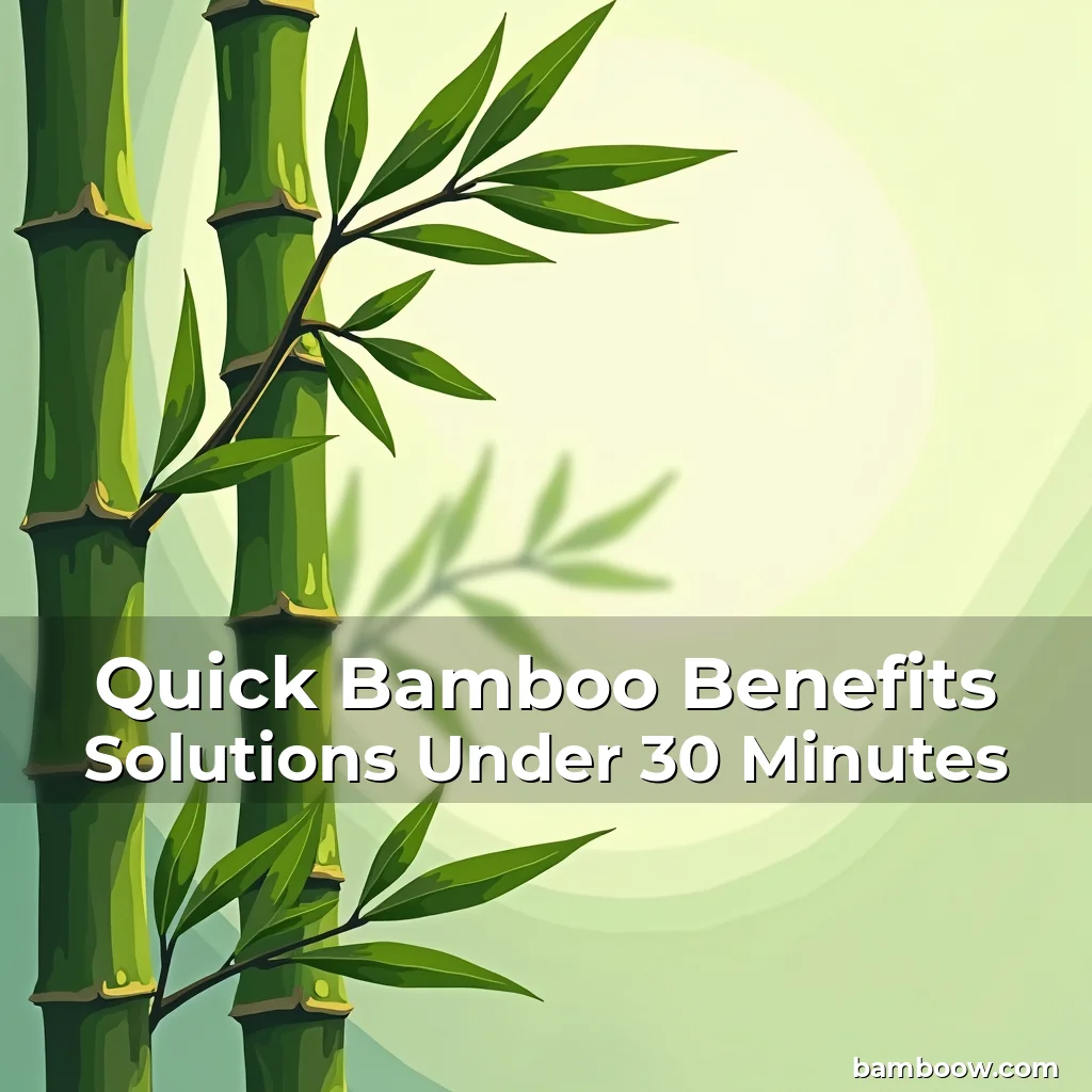Read more about the article Quick Bamboo Benefits Solutions Under 30 Minutes