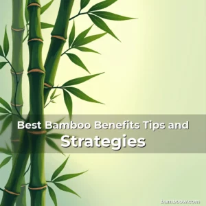 Artistic representation for Best Bamboo Benefits Tips and Strategies