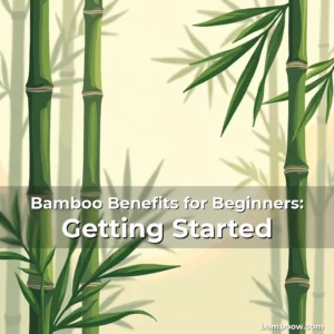 Artistic representation for Bamboo Benefits for Beginners: Getting Started