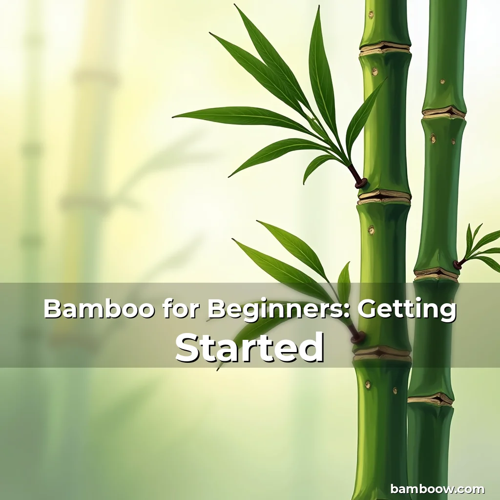 Artistic representation for Bamboo for Beginners: Getting Started
