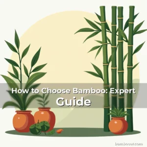 Artistic representation for How to Choose Bamboo: Expert Guide