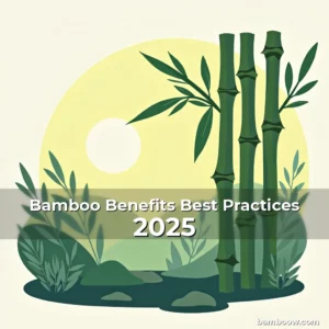 Artistic representation for Bamboo Benefits Best Practices 2025