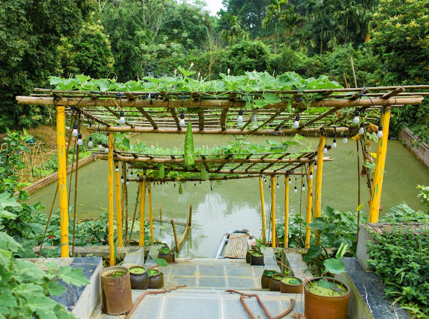 Read more about the article Bamboo Roots: Cultivating Sustainable Living Through Nature’s Wisdom